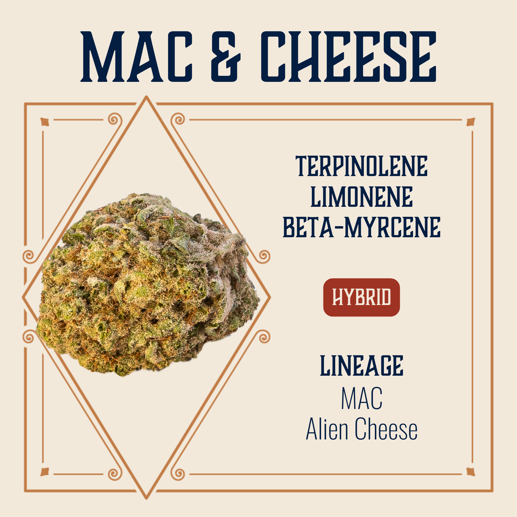 Photograph of product: Mac & Cheese | 3.5g | Elevate