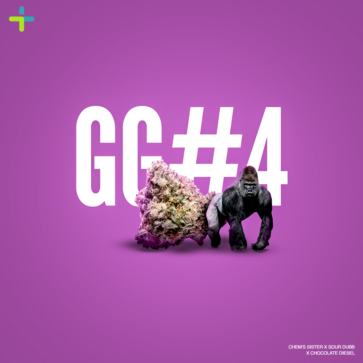 Photograph of product: FRX | GG #4 | 2.83g