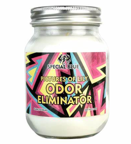 Photograph of product: Special Blue Odor Candles 13oz - Pictures Of Lily