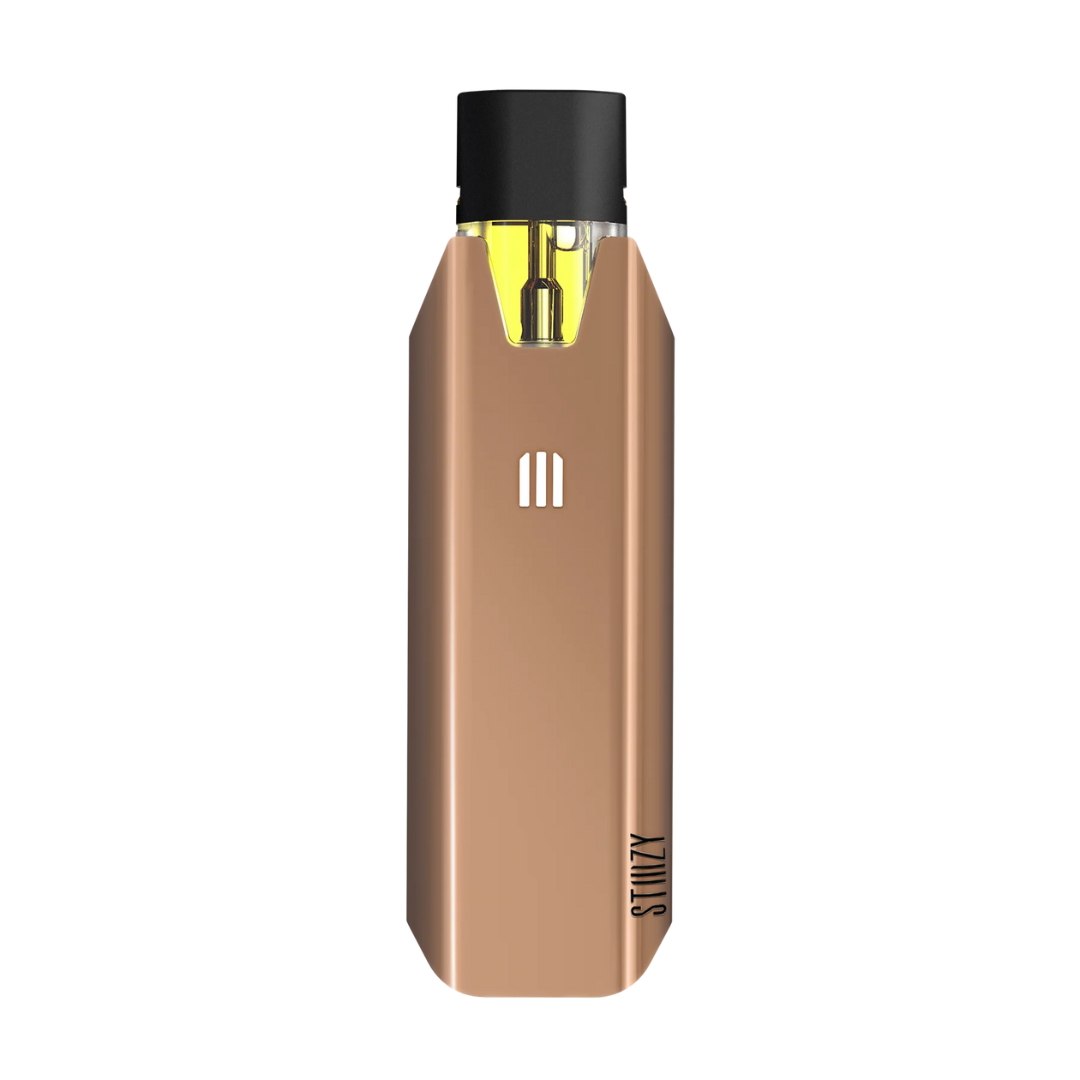 Photograph of product: BIIIG Battery (Rose Gold)