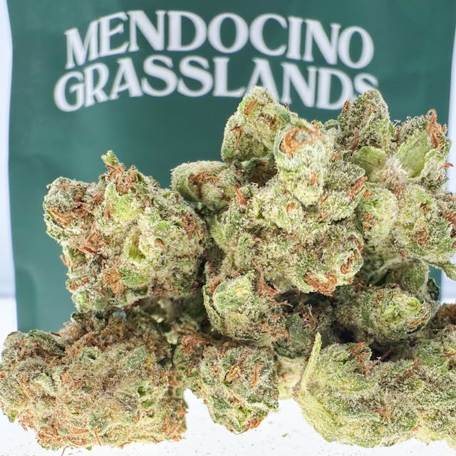 Photograph of product: Madd Fruit 14g - 