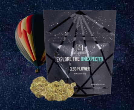 Photograph of product: [REC] Anthologie | Glitter Bomb | 3.5g Flower