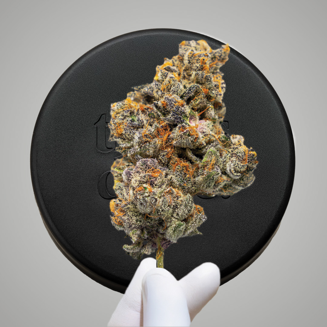 Photograph of product: NIche Premium Buds | Zkittles Marker #8 | 3.5g (Hybrid)