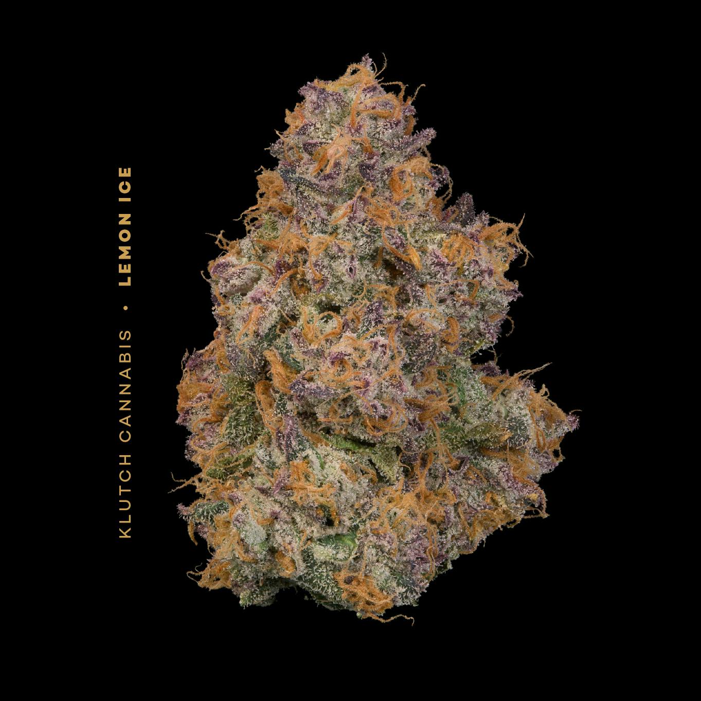 Photograph of product: | Lemon Ice | - 