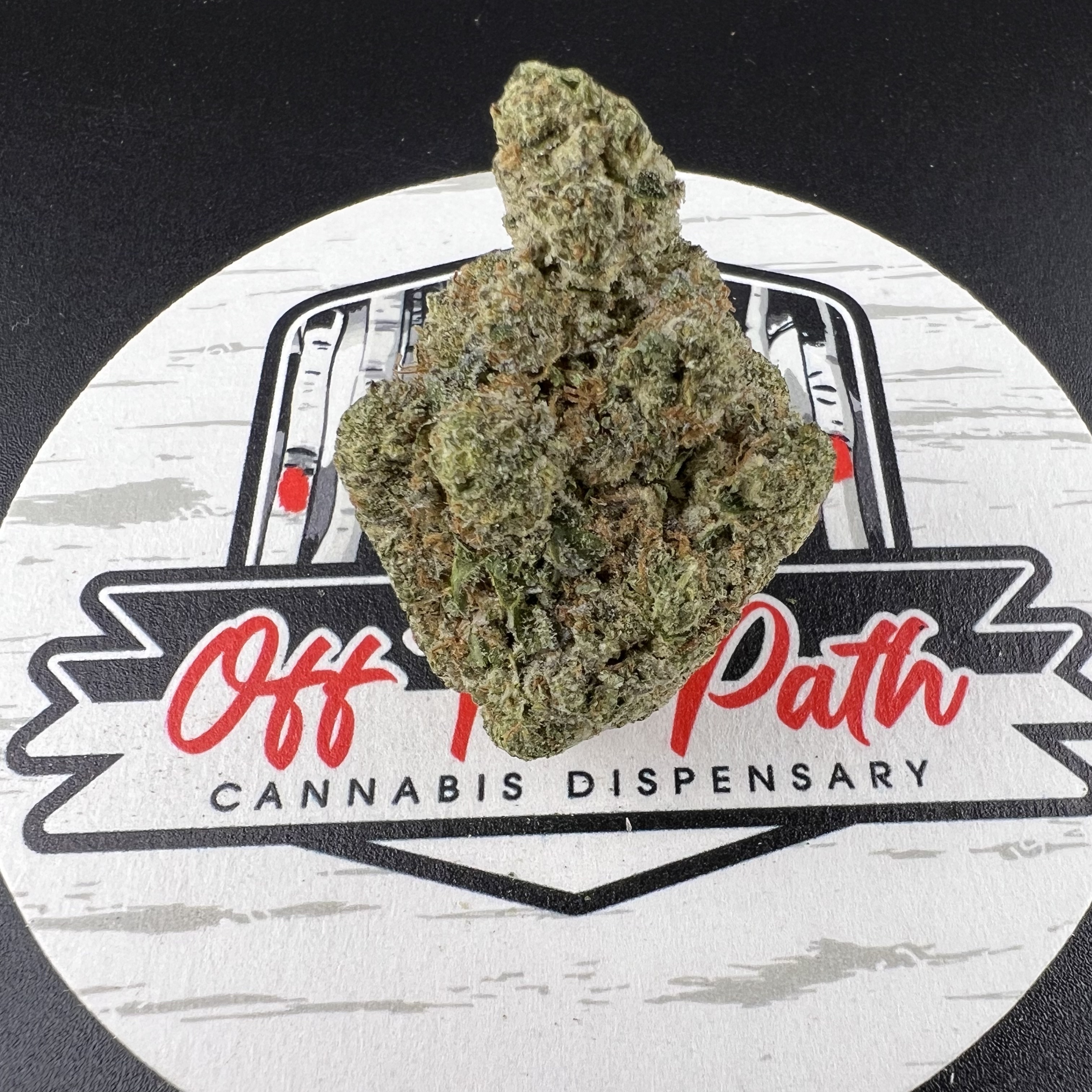 Photograph of product: Black Cherry Kush - 1g Preroll - Oui'd - Flower