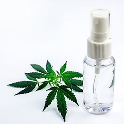 Photograph of product: Dos Gringos Pain Spray 1:1:1 TH-oui
