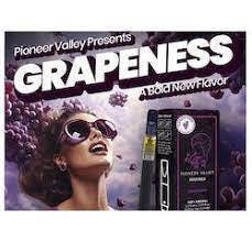 Photograph of product: Pioneer Valley I Grapeness (I) .5g Vape