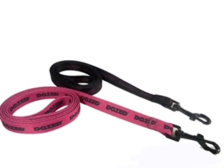 Photograph of product: Dog Leash - Dazed