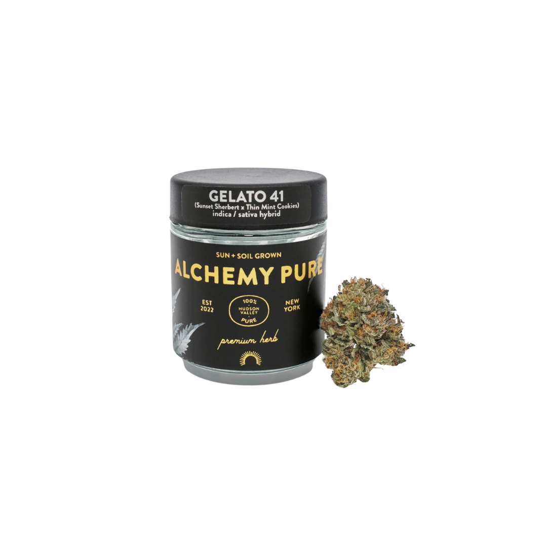 Photograph of product: Alchemy Pure | Flower | Hybrid | Gelato 41 | Greenhouse Grown - 3.5g