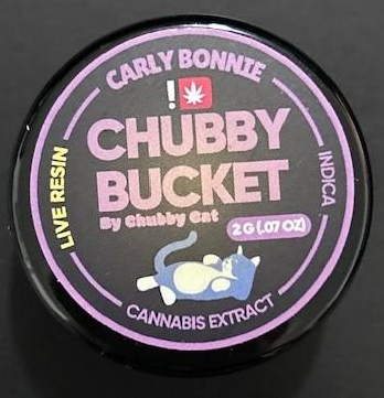 Photograph of product: Chubby Cat Dab Bucket | Carly Bonnie (I)