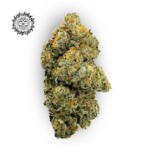 Photograph of product: Jet Wash (Pre Pack) Adult Use - 3.5g