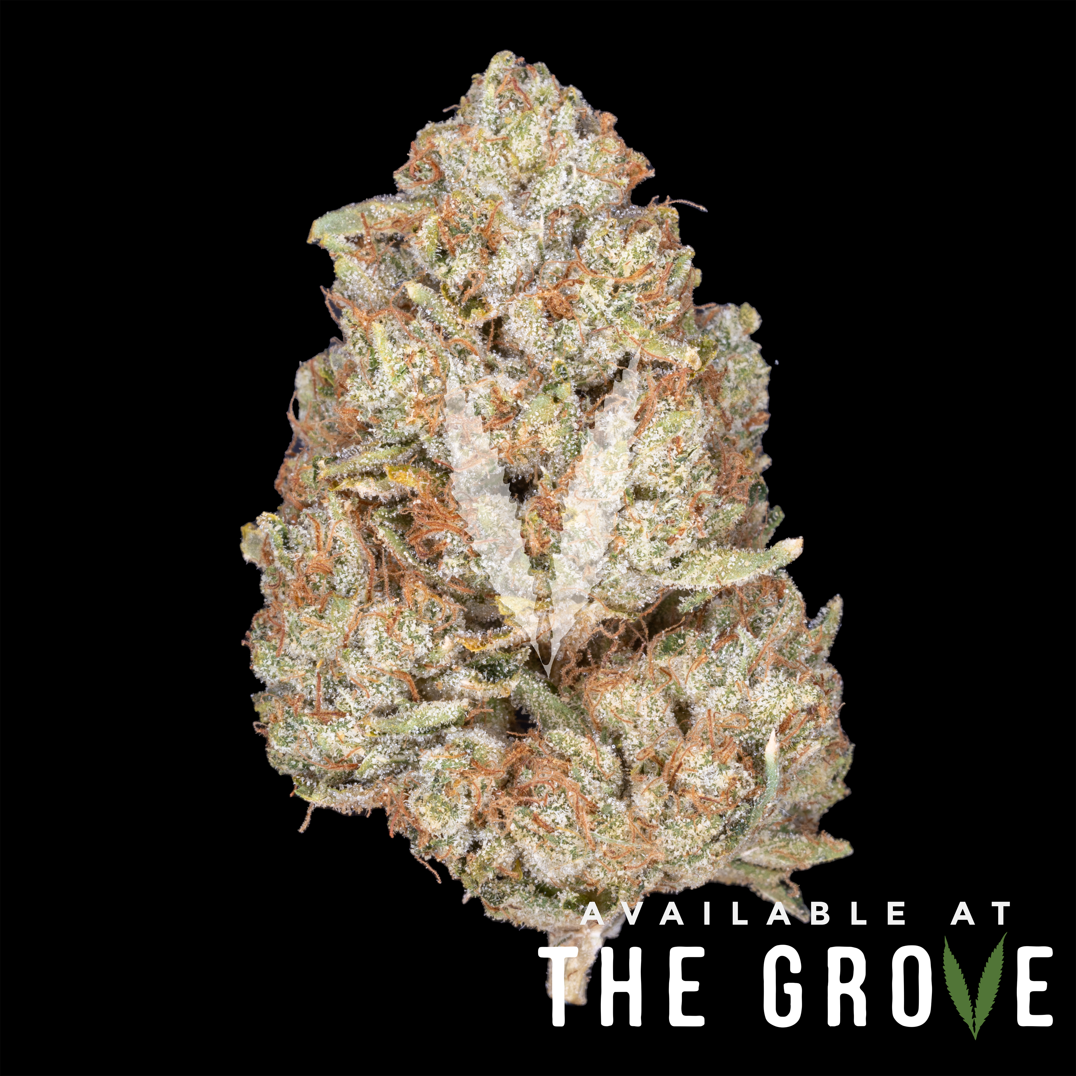 Photograph of product: BLEM | FIYAH 1/8ths - 3.5g