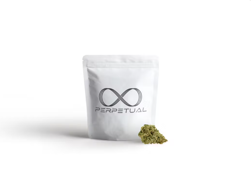 Photograph of product: Perpetual Gary Payton #2 - 28g