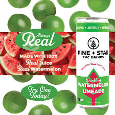 Photograph of product: TH-oui Infused Beverage - Watermelon Limeade [5mg] (Pine + Star)