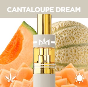 Photograph of product: DIME Vape - Cantaloupe Dream