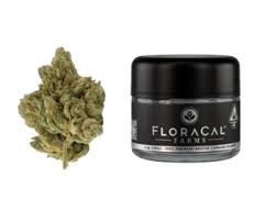 Photograph of product: FLORACAL - FLORACAL FLOWER - RUNTZ X JEALOUSY - 3.5g