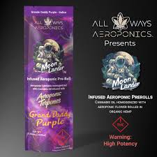 Photograph of product: Grand Daddy Purp Infused Pre-Roll
