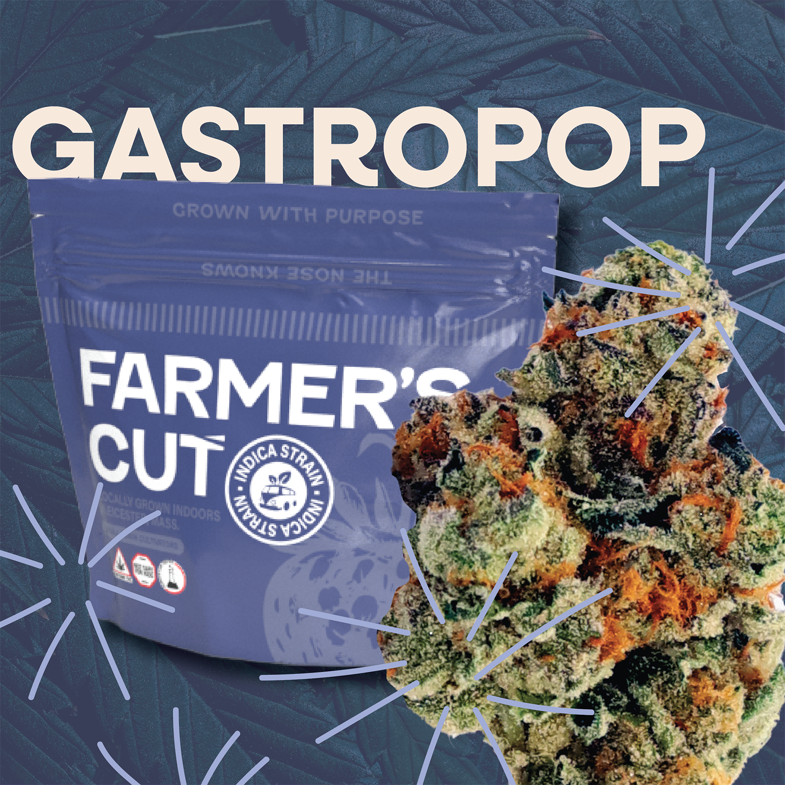 Photograph of product: Gastro pop #4 - 3.5g