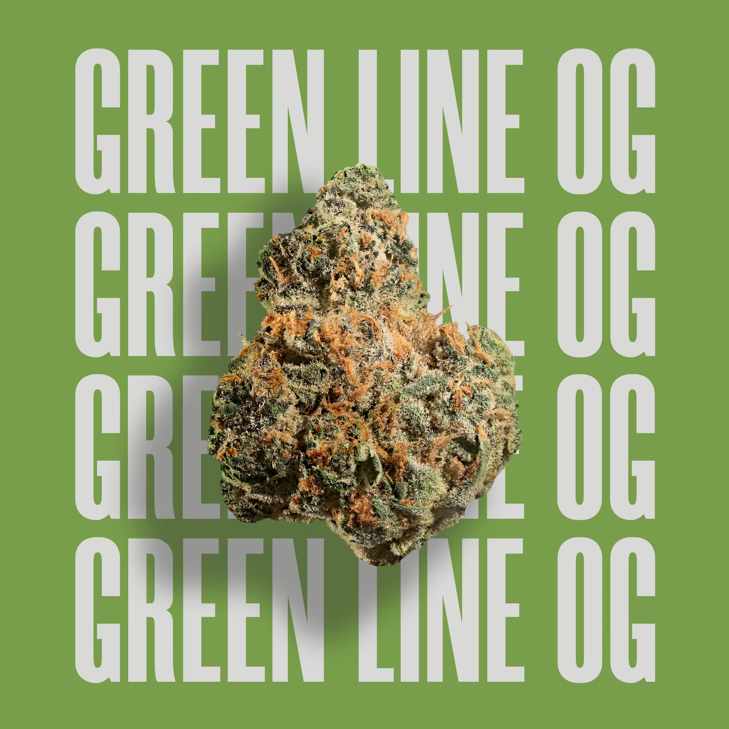 Photograph of product: Green Line OG Whole Flower 3.5g