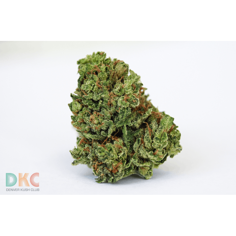 Photograph of product: African Queen - Denver Kush Club