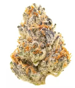 Photograph of product: AMA | Tangello 14g