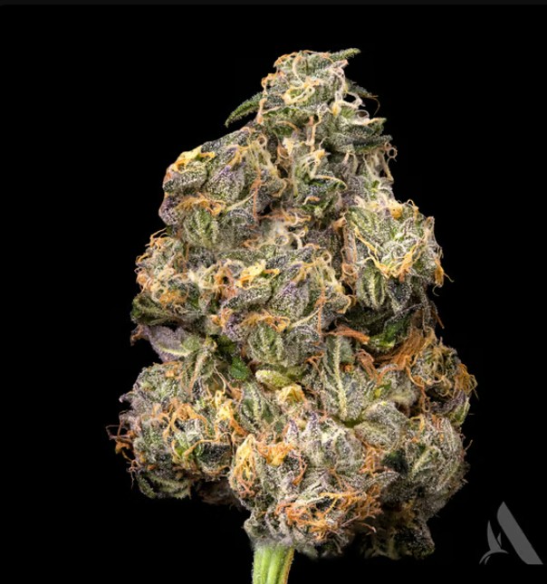 Photograph of product: Medellin Flower 3.5g T28.09% I C0090000437