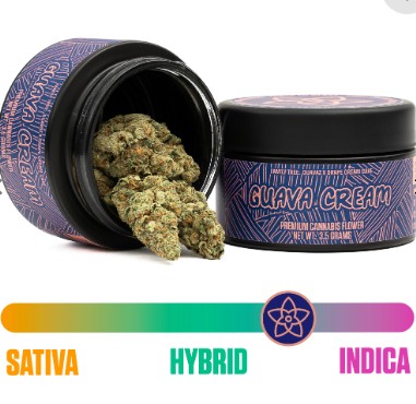 Photograph of product: The Flower Collective - Guava Cream (I) - 3.5g Prepack