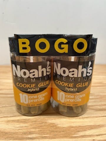 Photograph of product: NOAH PREMIUM HYBRID (2) 10PK 1G