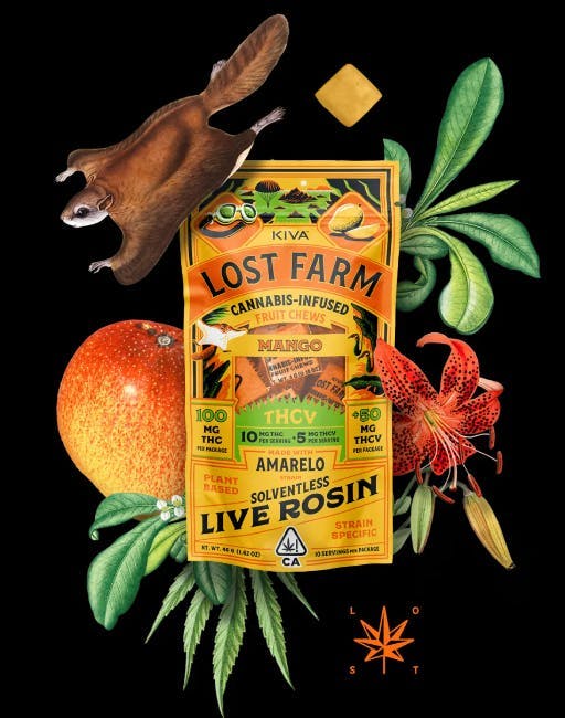 Photograph of product: Lost Farm - Mango x Amarelo Rosin TH-ouiv 10:5 - Chews (100mg)