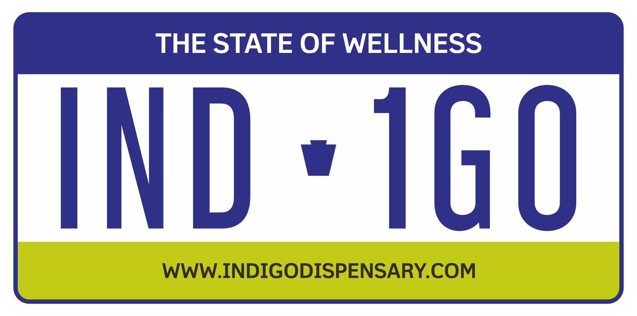Photograph of product: Indigo License Plate T-shirt