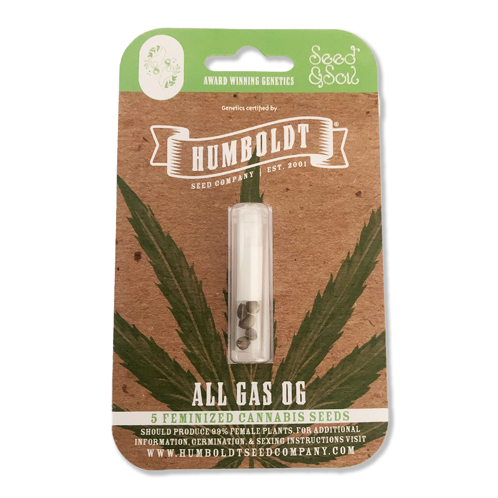 Photograph of product: Seed Package - All Gas OG - 5pk