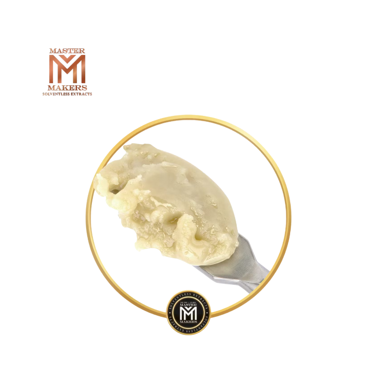 Photograph of product: BACIO PANCAKES 1G COLD CURE ROSIN