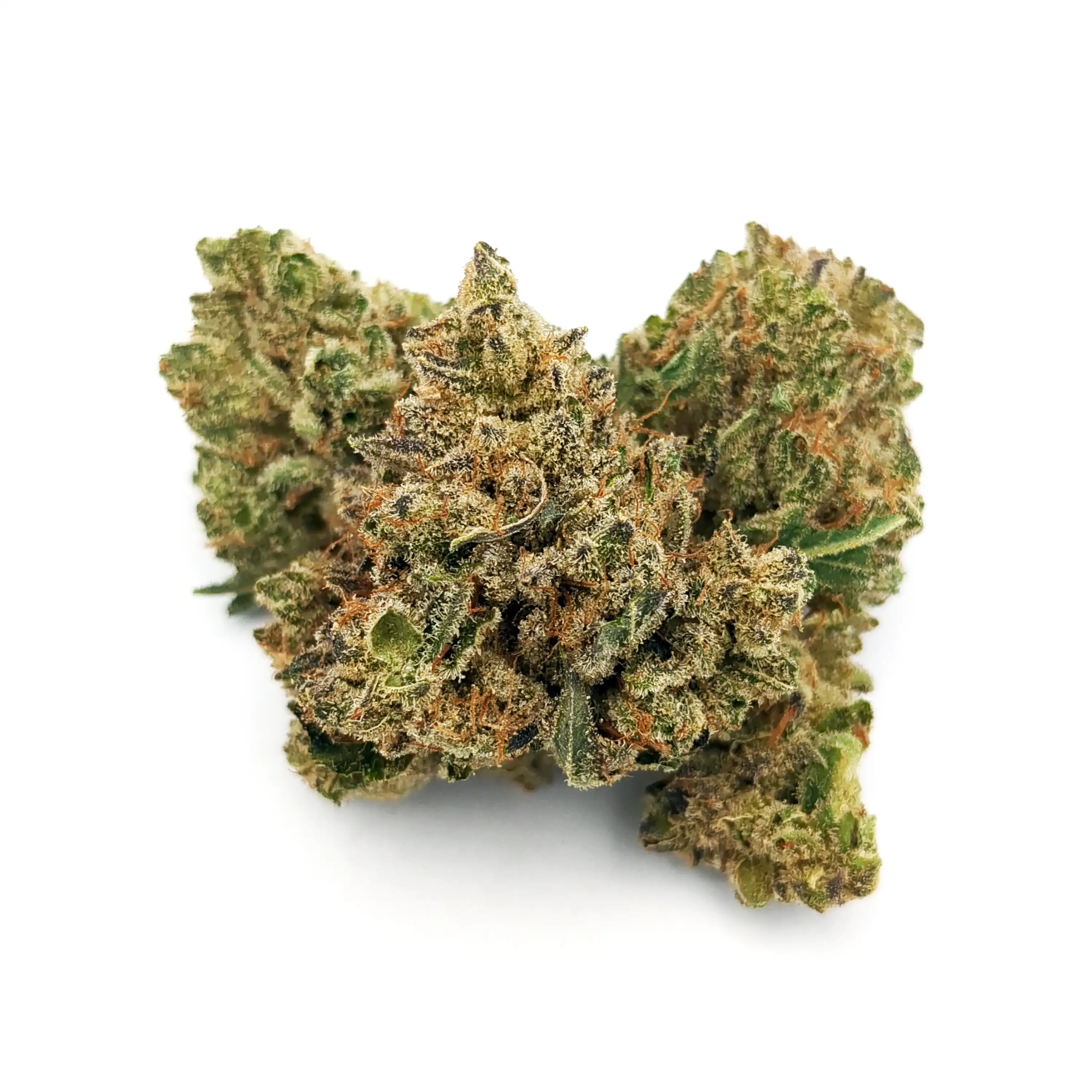 Photograph of product: Flower - Maui Wowie 2.0 - 28g