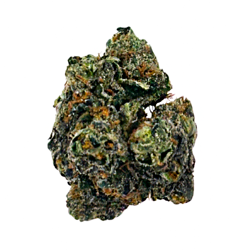 Photograph of product: Grown Rogue Burn Scotty Pre-Packed 3.5g