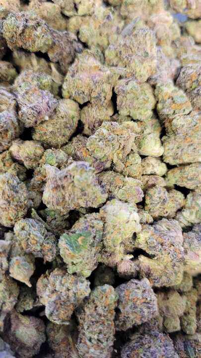 Photograph of product: B Bud Warpaint SEEDS (Hotbox Farms)