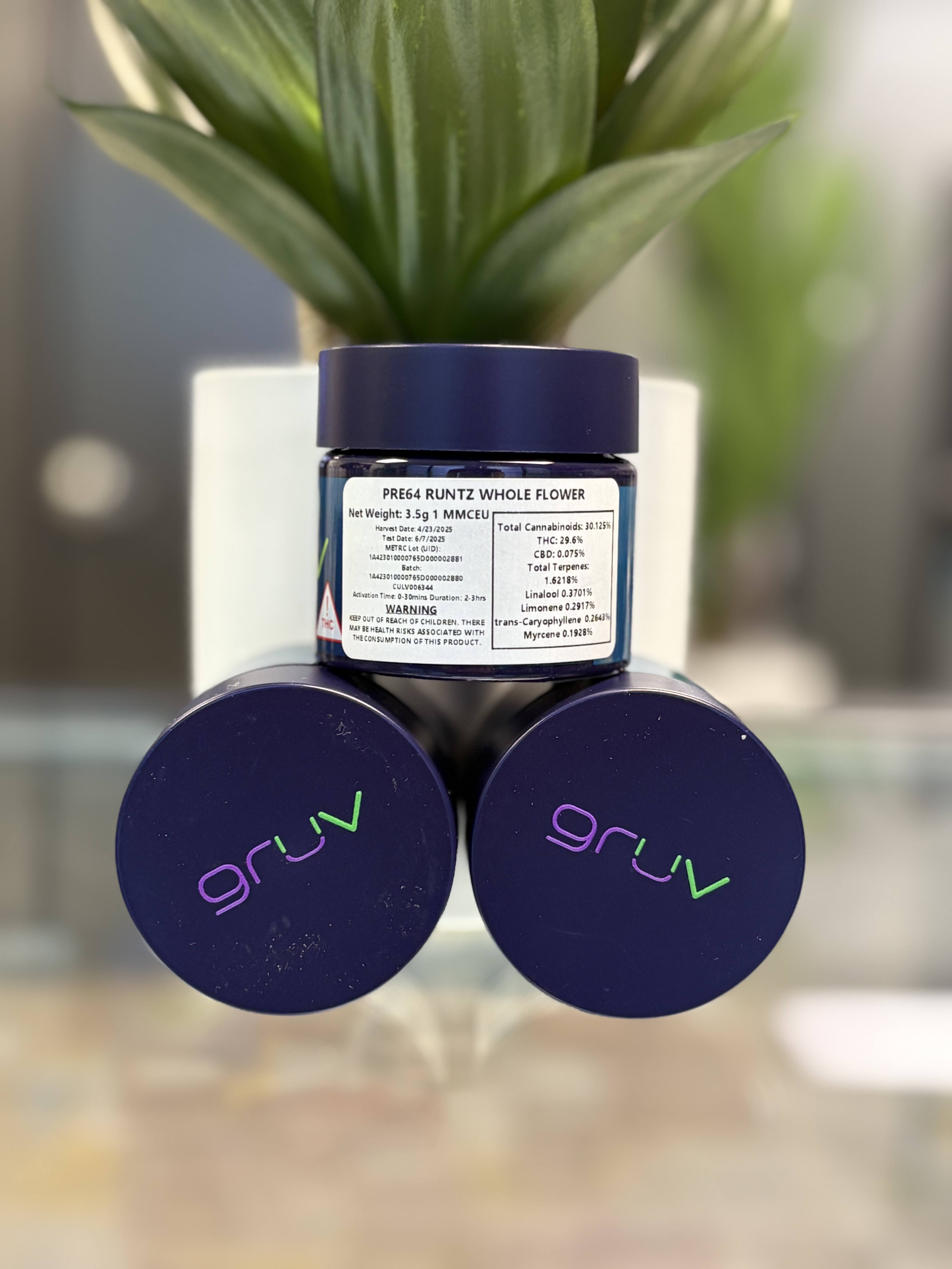 Photograph of product: GruV | Pre 64 Runtz | 3.5g