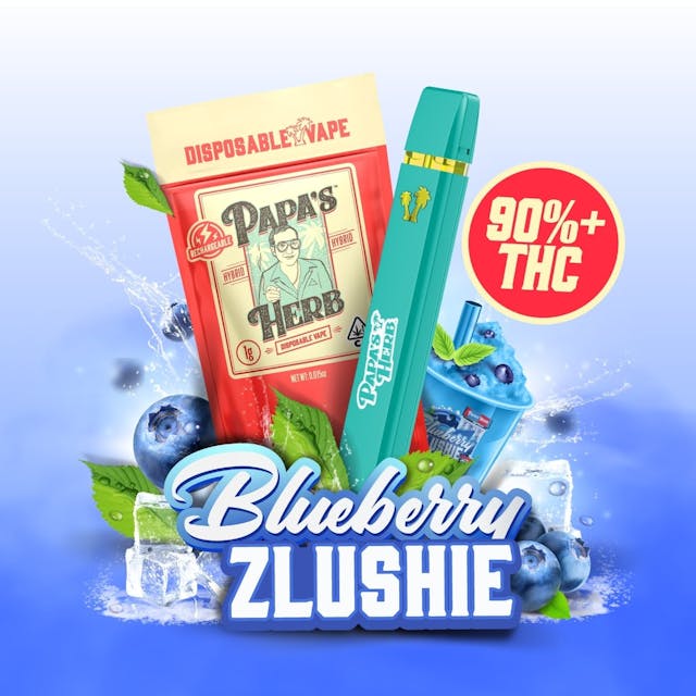 Photograph of product: Blueberry Zlushie 1g | All-In-One