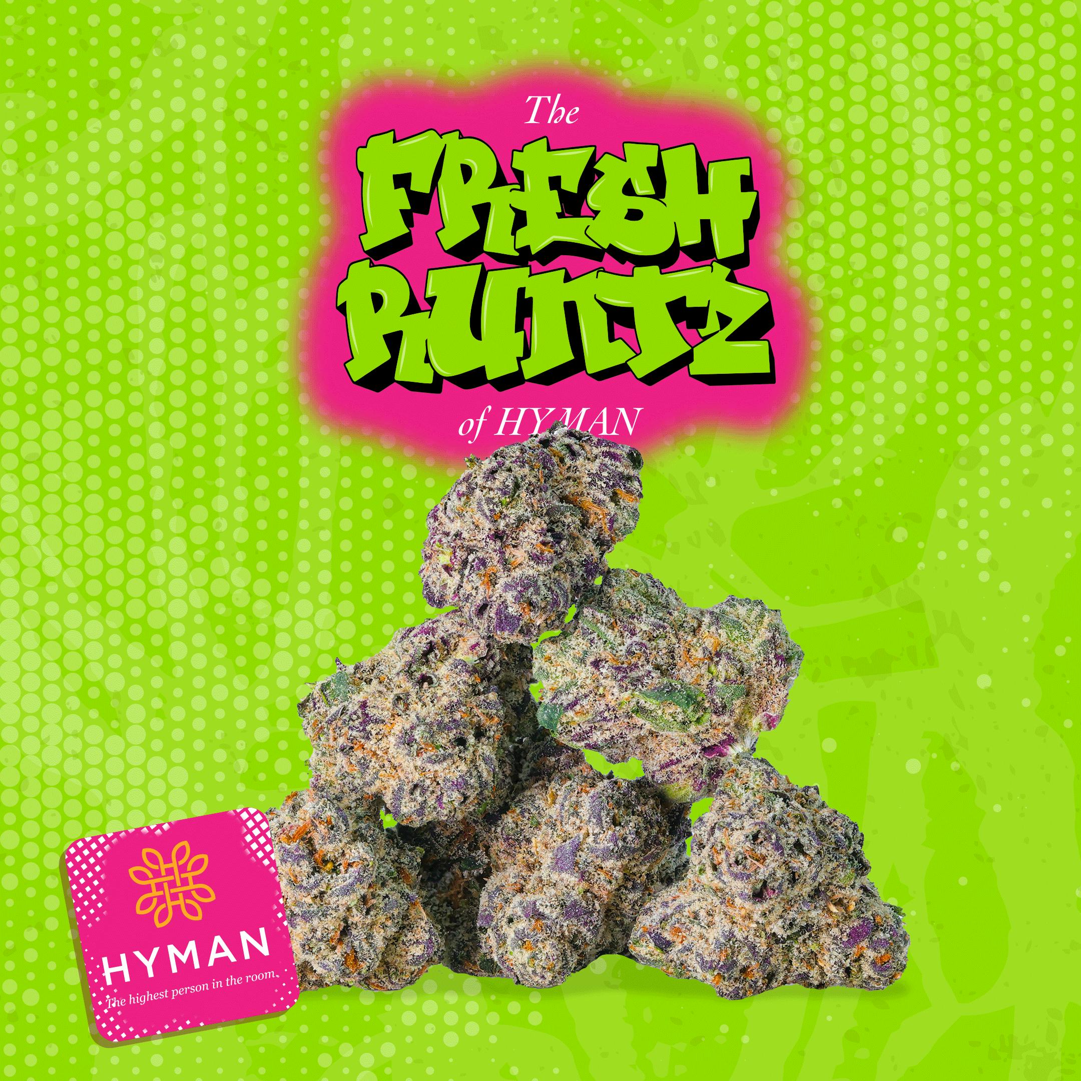 Photograph of product: Hyman | The Fresh Runtz of Hyman | 3.5g | Pre-Pack Flower