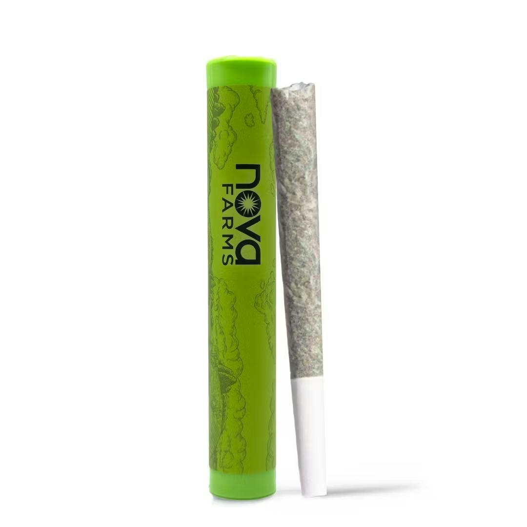 Photograph of product: Nova Farms 0.5g King Palm BLUNT - GMO