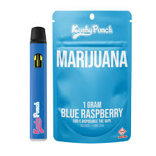 Photograph of product: 1g - Kushy Punch - Blue Raspberry - Disposable Vape
