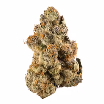 Photograph of product: CF | Strawberry Runtz | Flower | Bulk/Deli - 28g