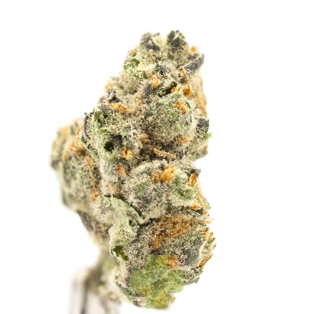 Photograph of product: Super Lemon Biscotti Smalls (1/4oz.) - Quarter