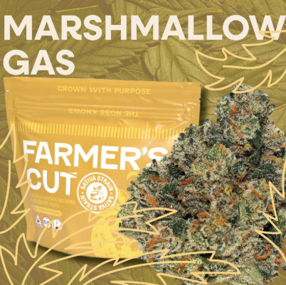 Photograph of product: Flower - Marshmallow Gas - 3.5g