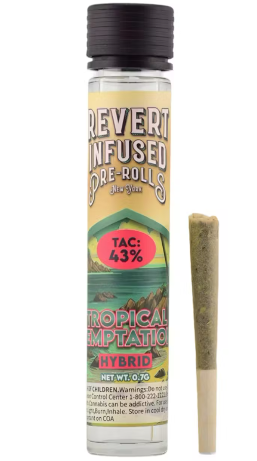 Photograph of product: Tropical Temptation Infused Preroll