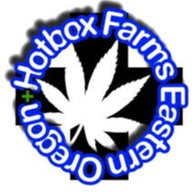 Photograph of product: T Shirt Hotbox Farms Black & Green (M)