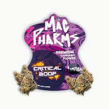 Photograph of product: Critical Boof - Pre-packaged - 70g