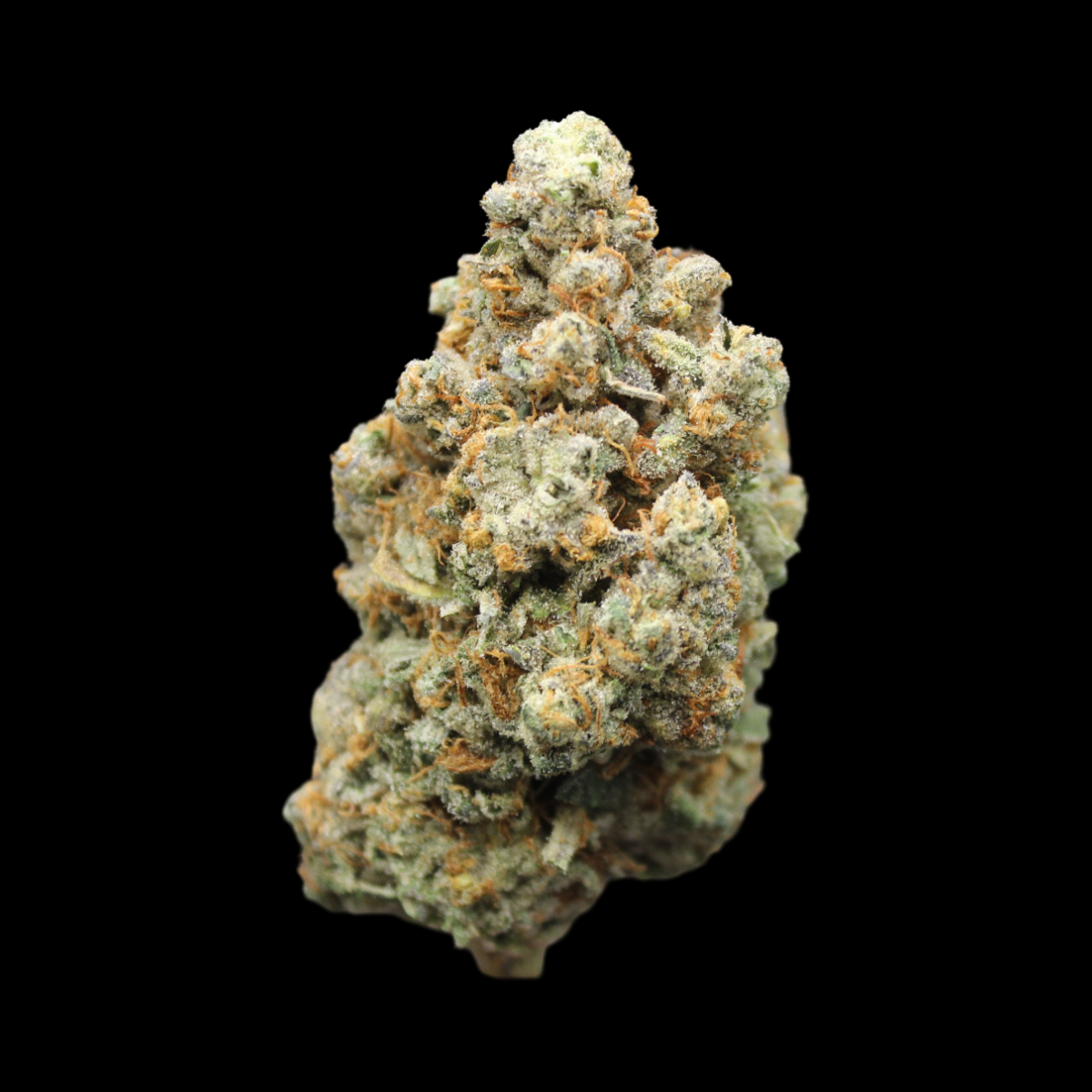 Photograph of product: Host - 95 Runtz - 28g
