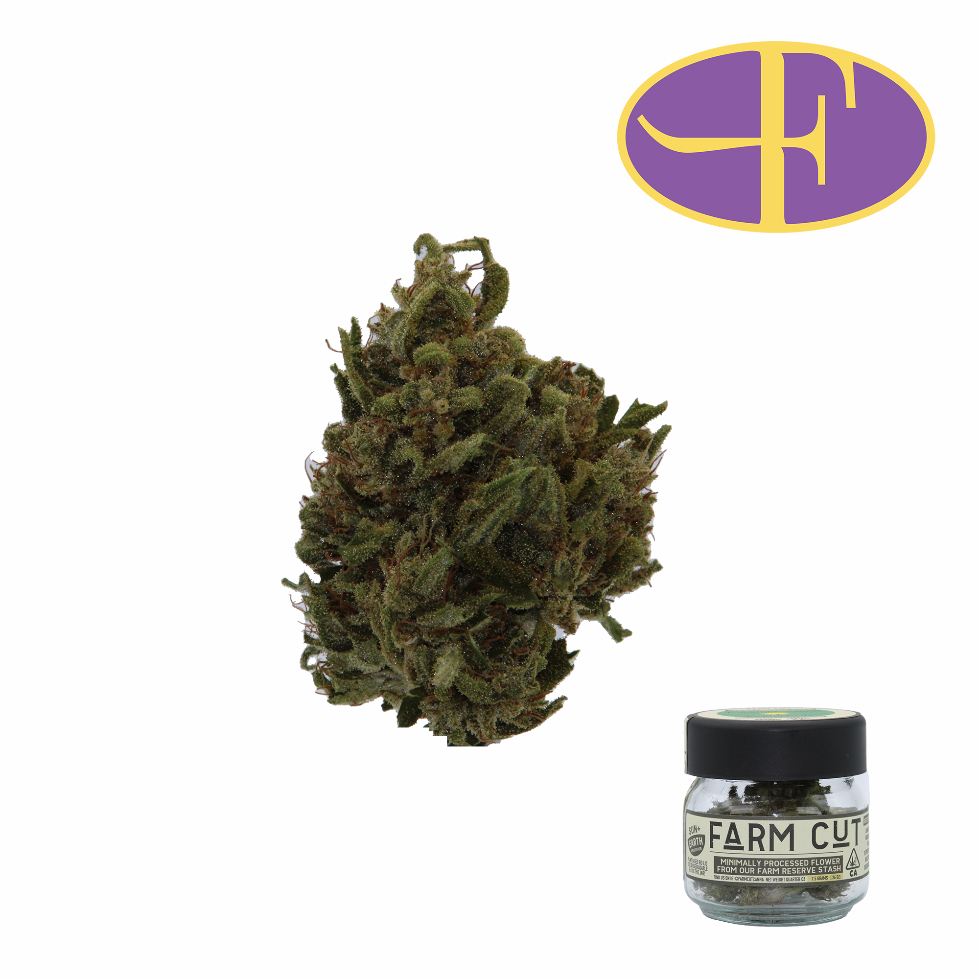 Photograph of product: Harmony Rose 1:1 CBD