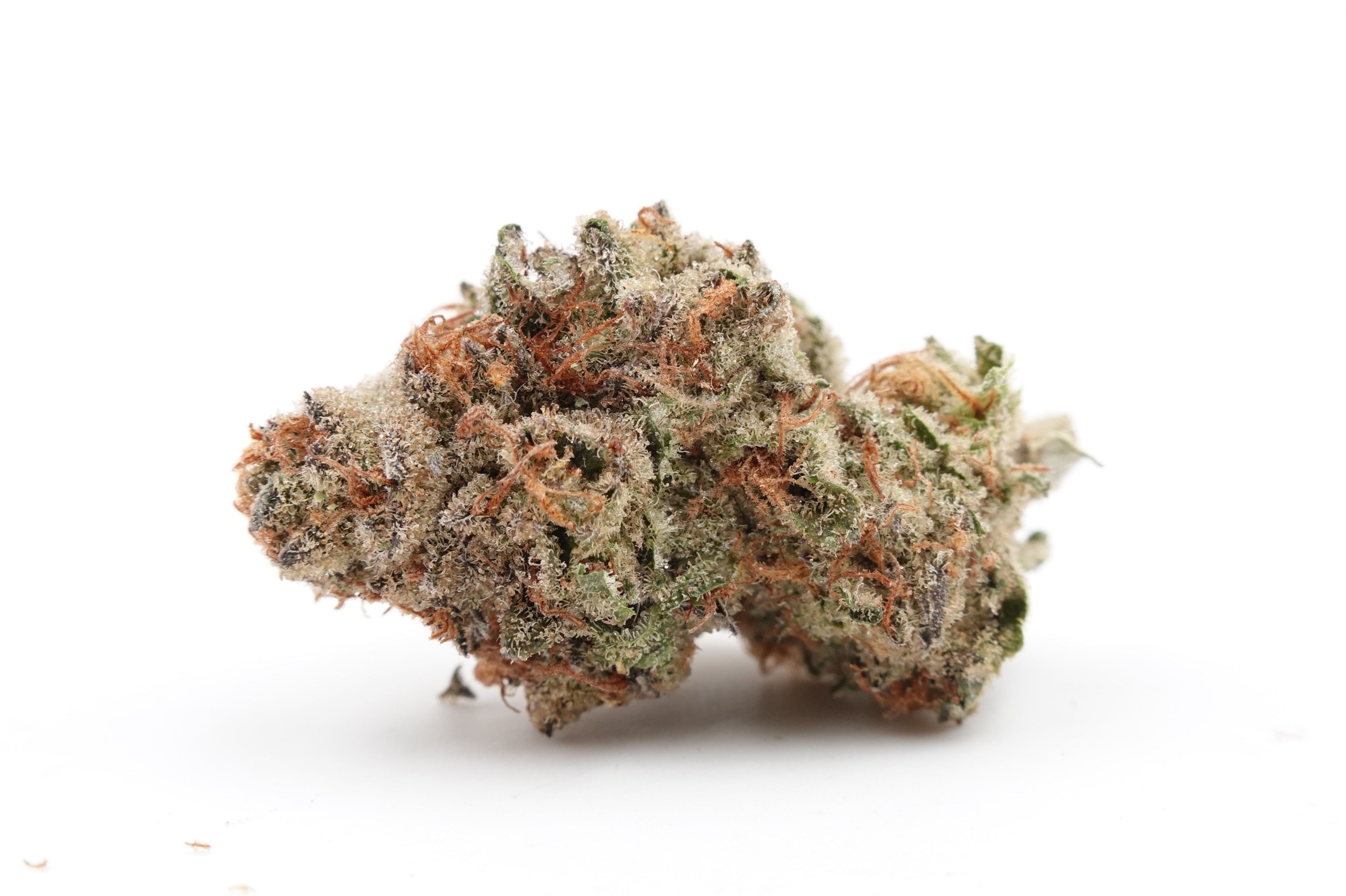 Photograph of product: Dante's Cookie Jar - Kaprikorn (SH) - 28g