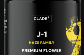 Photograph of product: [REC] Clade9 | J-1 | 1g Flower